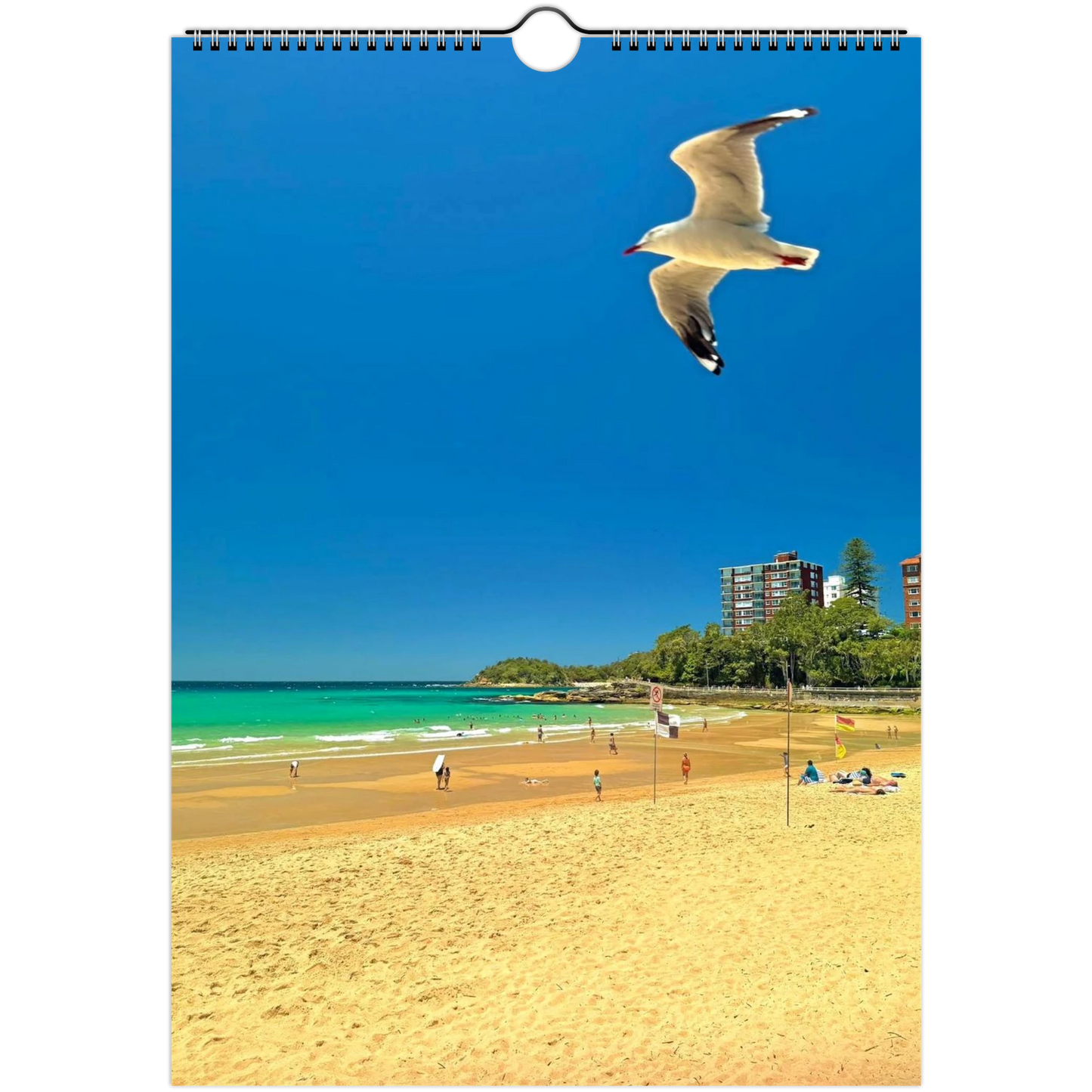 Manly Ferries on Sydney Harbour and Northern Beaches Calendar 2026 – Stunning Aerial Views