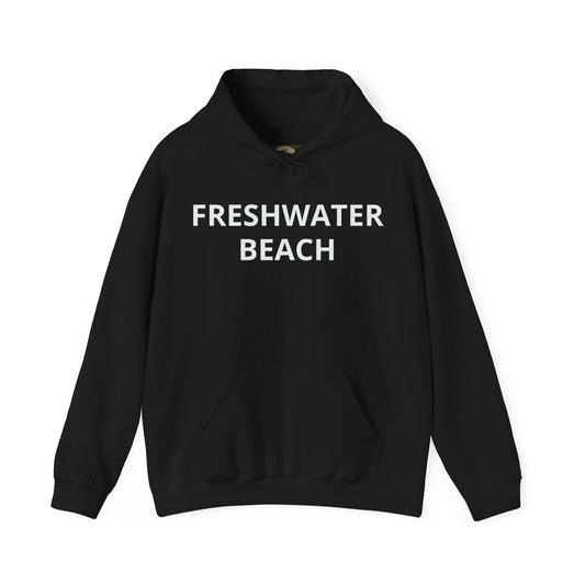 Freshwater Beach Vintage Hoodie - Lost Manly Shop