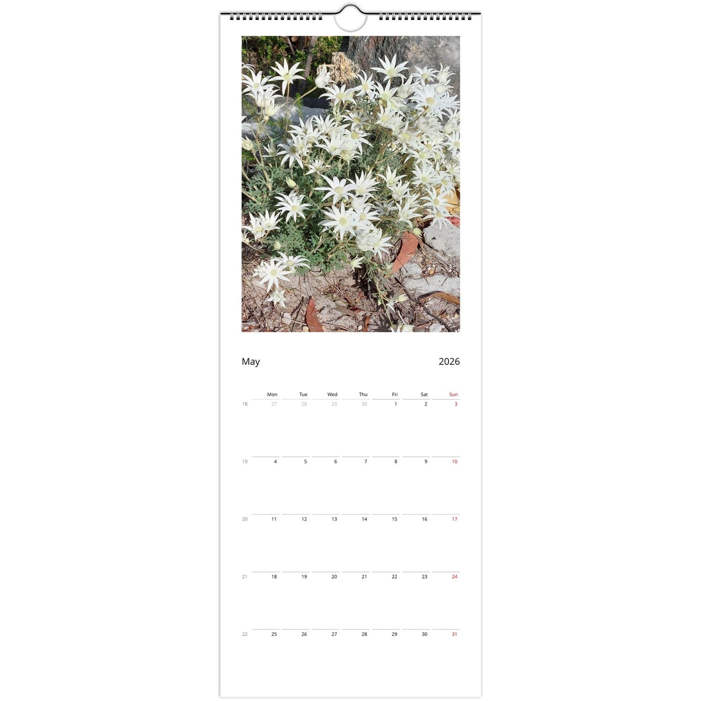 f9ec2bc9-c03f-4aba-81f7-56483603c571