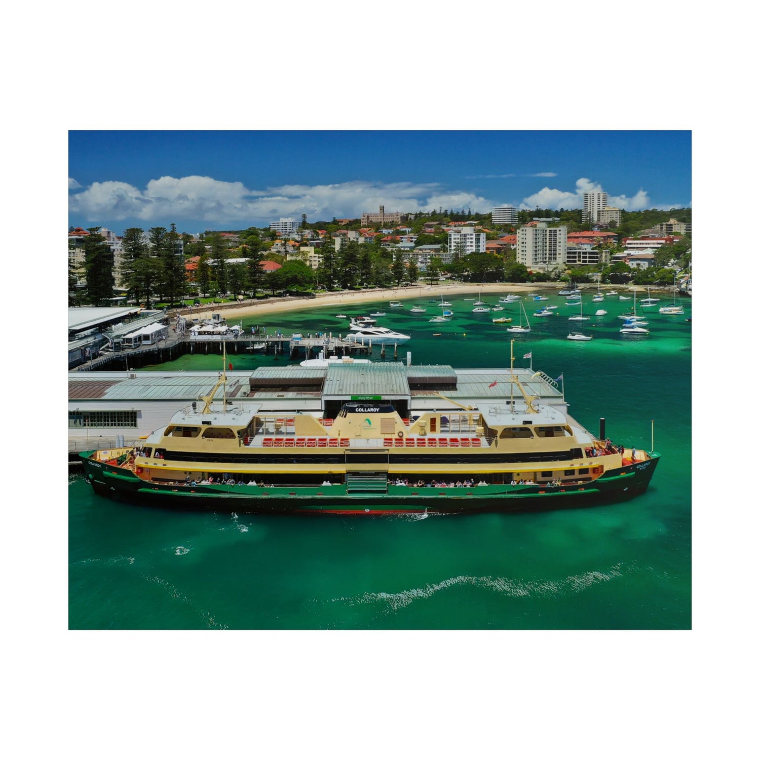MV COLLAROY