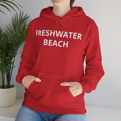 Freshwater Beach Vintage Hoodie