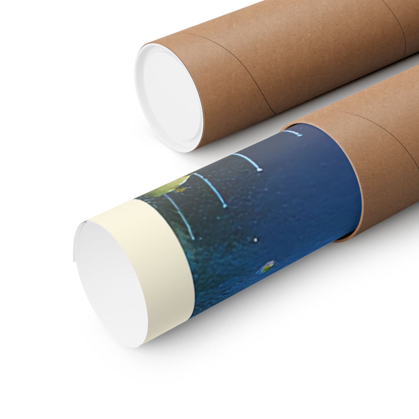 Manly Harbour Pool & Promenade – 1950s Vintage Postcard Poster 