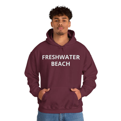 Freshwater Beach Vintage Hoodie