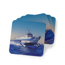 Coasters Curl Curl Hydrofoil - Lost Manly Shop