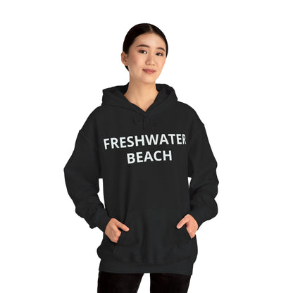 Freshwater Beach Vintage Hoodie