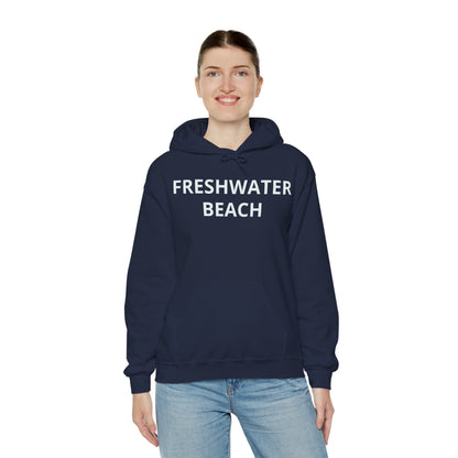 Freshwater Beach Vintage Hoodie