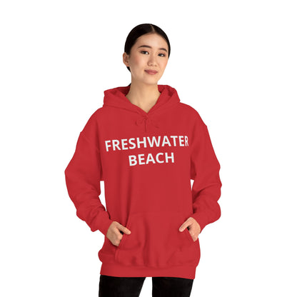 Freshwater Beach Vintage Hoodie