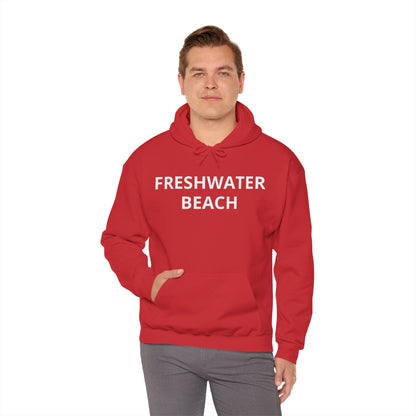 Freshwater Beach Vintage Hoodie