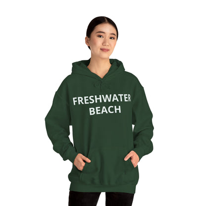 Freshwater Beach Vintage Hoodie
