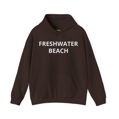 Freshwater Beach Vintage Hoodie