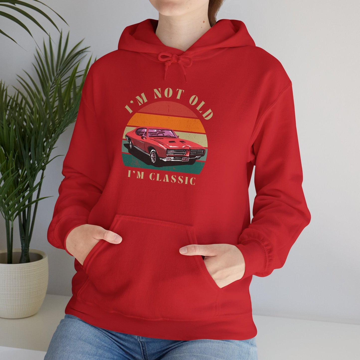 Vintage Classic Humour Logo Hoodie 