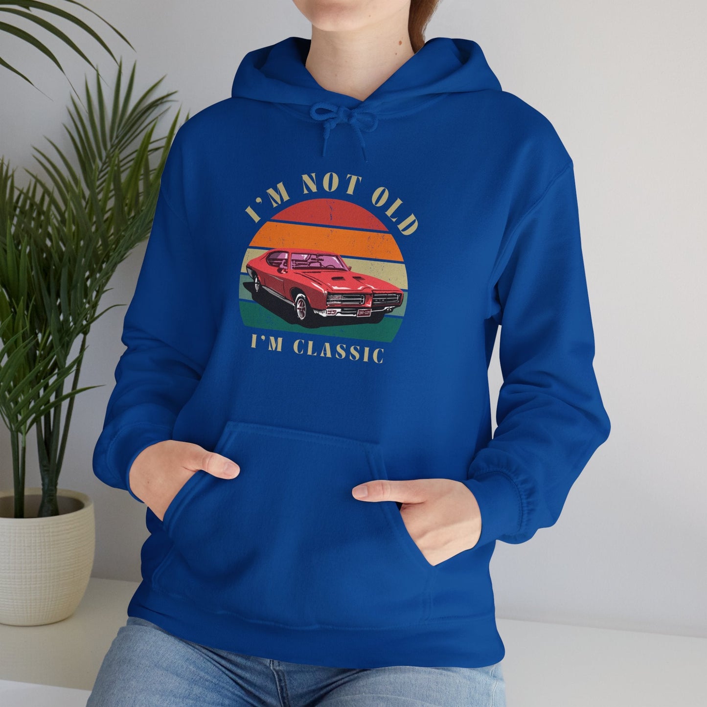 Vintage Classic Humour Logo Hoodie 