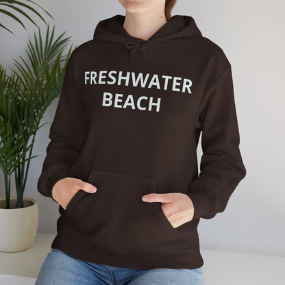 Freshwater Beach Vintage Hoodie
