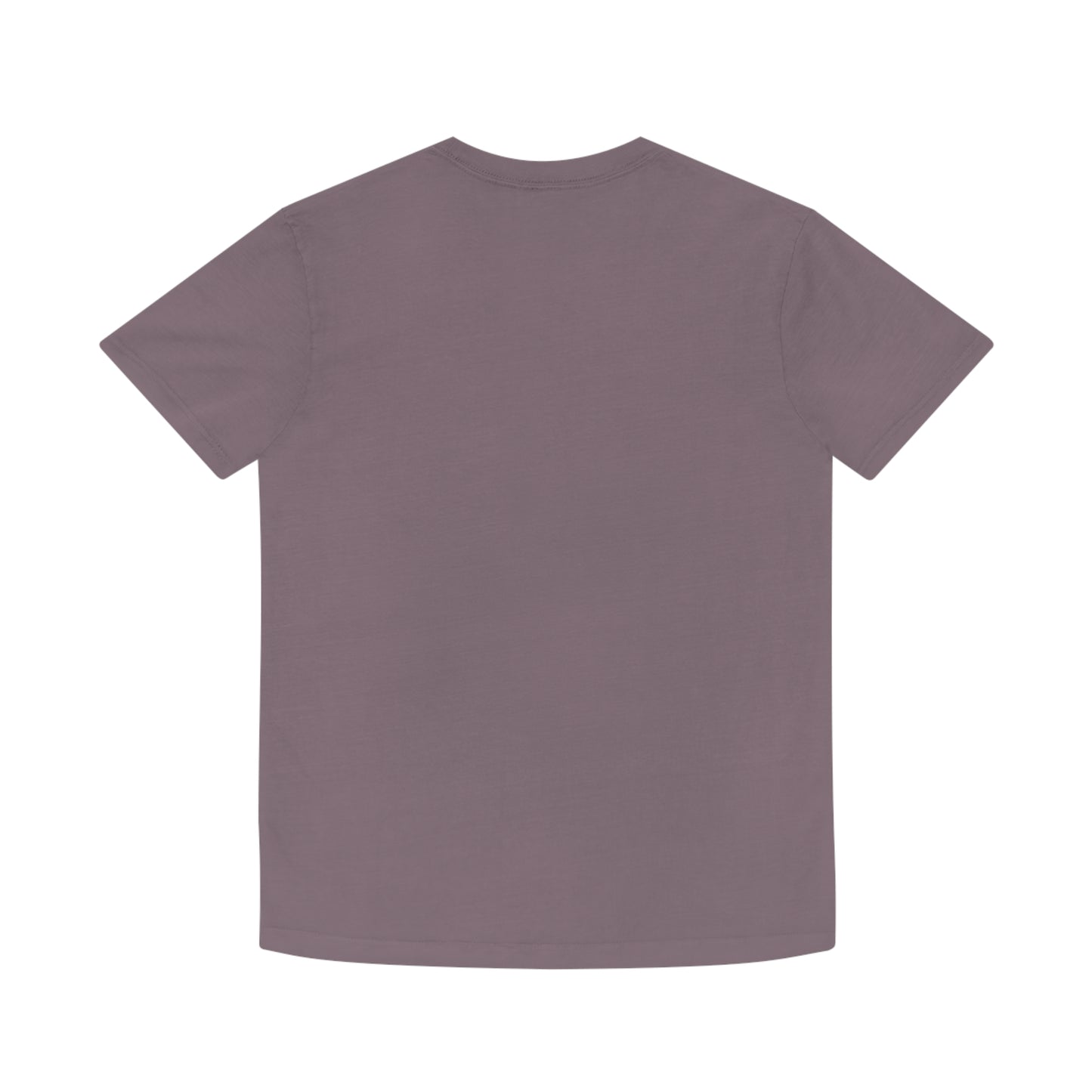 Northern Beaches Palm Beach AS Colour 100% Cotton Unisex Faded Shirt