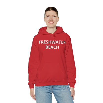 Freshwater Beach Vintage Hoodie