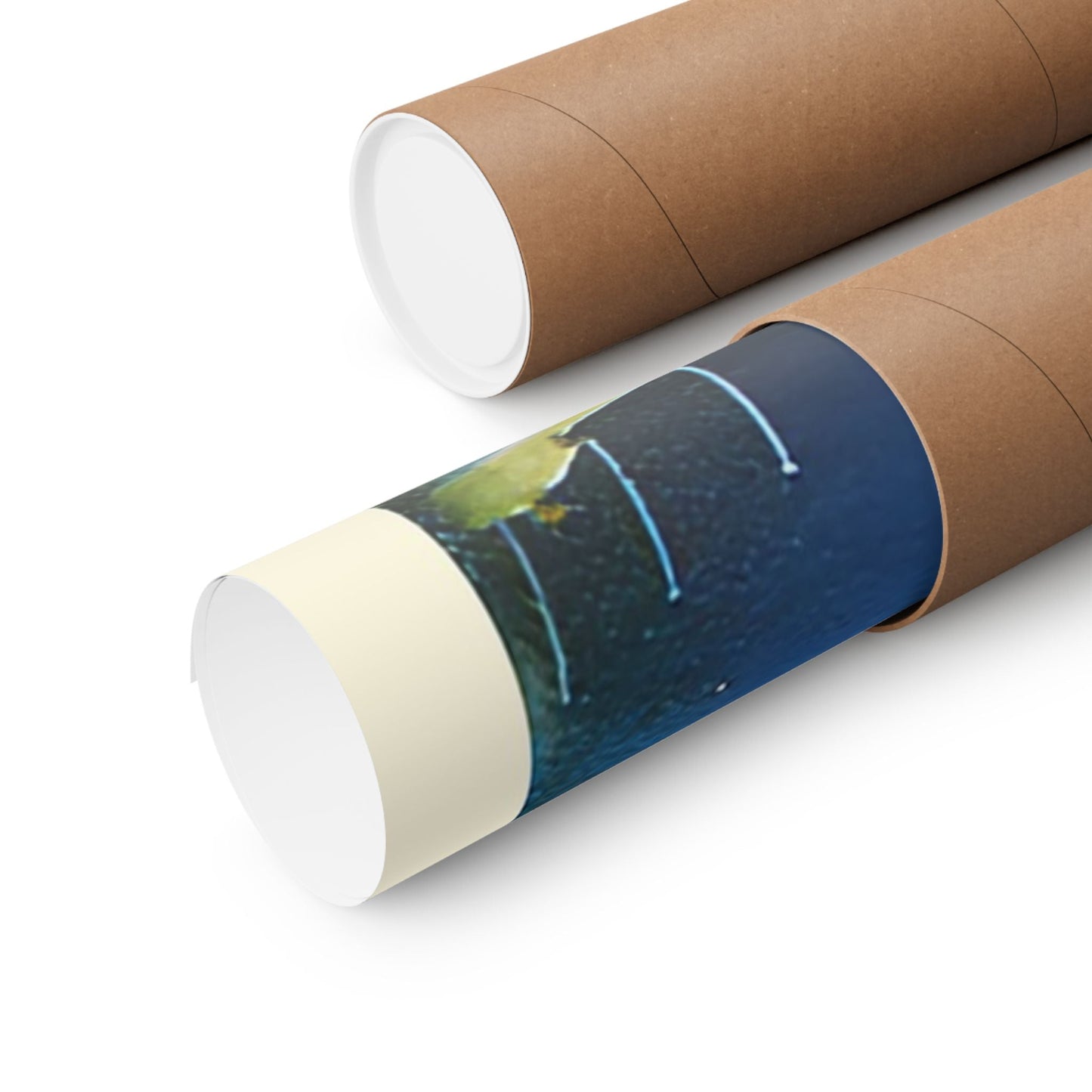 Manly Harbour Pool & Promenade – 1950s Vintage Postcard Poster 