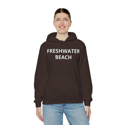Freshwater Beach Vintage Hoodie