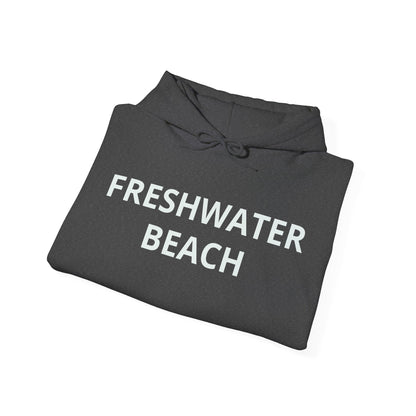 Freshwater Beach Vintage Hoodie