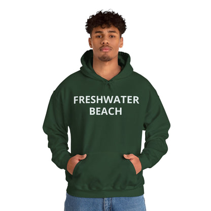 Freshwater Beach Vintage Hoodie