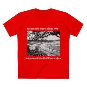 Northern Beaches Vintage Style Graphic T-Shirt 