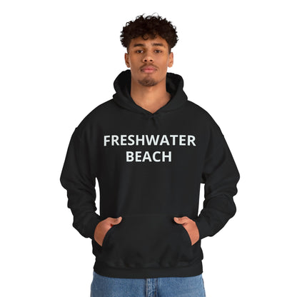 Freshwater Beach Vintage Hoodie