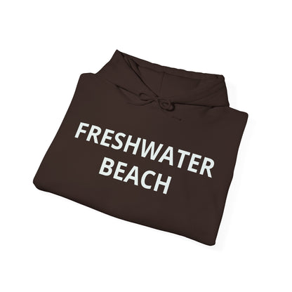 Freshwater Beach Vintage Hoodie