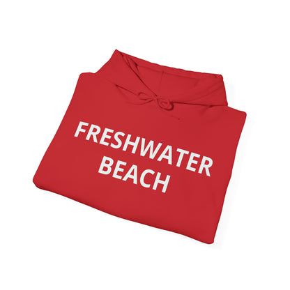 Freshwater Beach Vintage Hoodie
