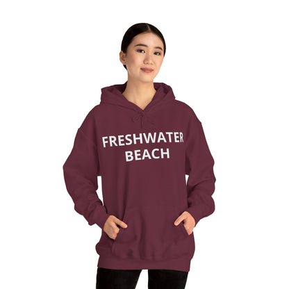 Freshwater Beach Vintage Hoodie