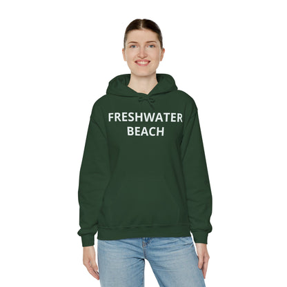 Freshwater Beach Vintage Hoodie