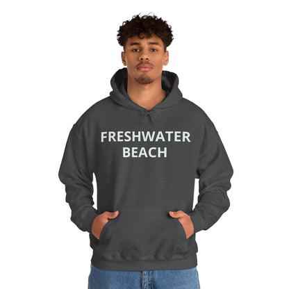 Freshwater Beach Vintage Hoodie