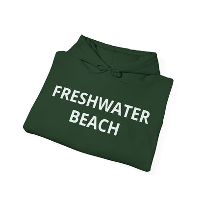 Freshwater Beach Vintage Hoodie