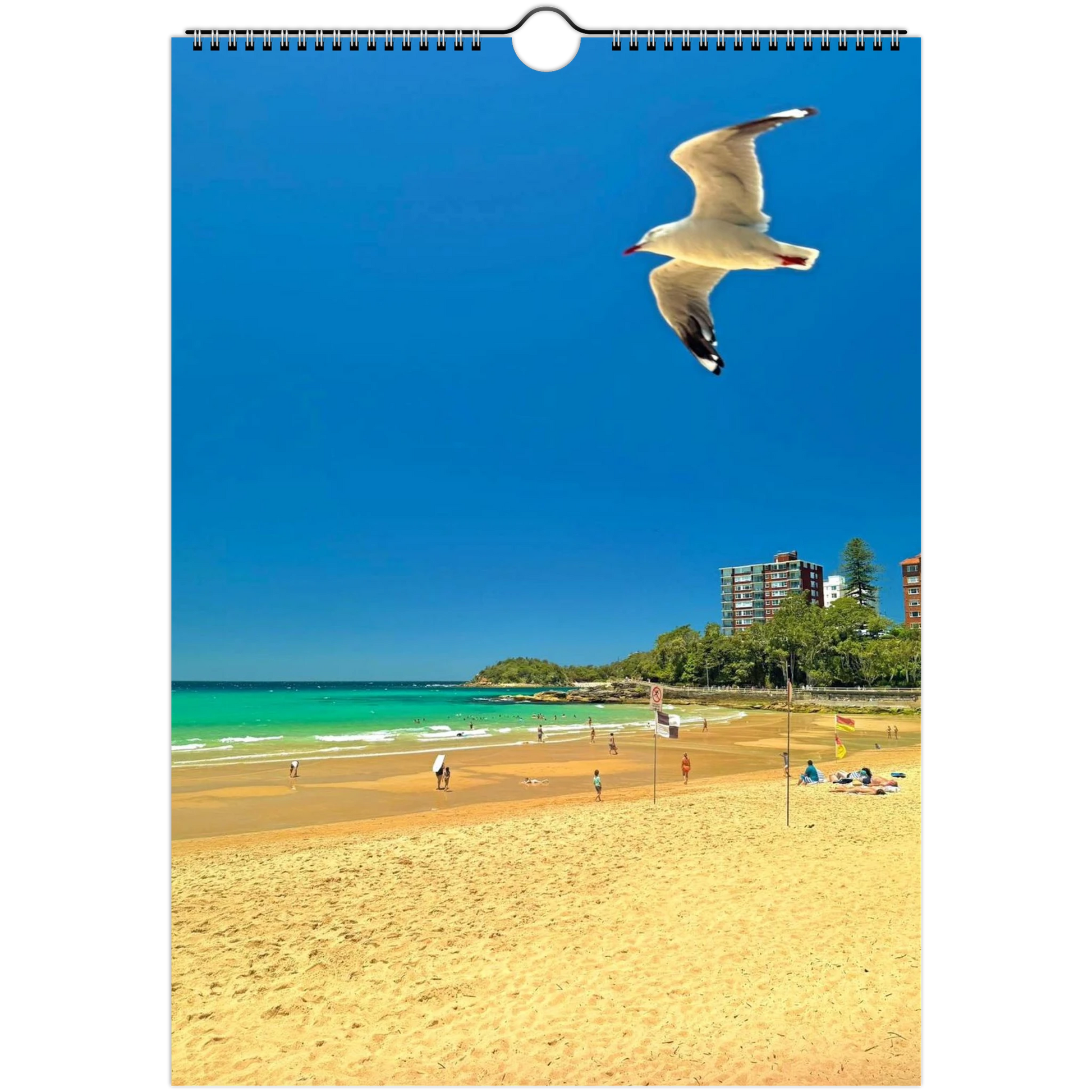 Manly Ferries on Sydney Harbour and Northern Beaches Calendar 2026 – Stunning Aerial Views 