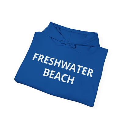 Freshwater Beach Vintage Hoodie