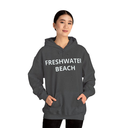 Freshwater Beach Vintage Hoodie