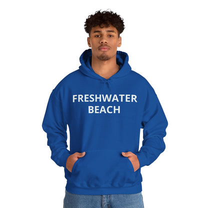 Freshwater Beach Vintage Hoodie