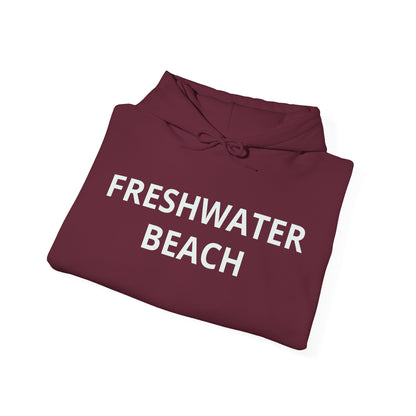 Freshwater Beach Vintage Hoodie