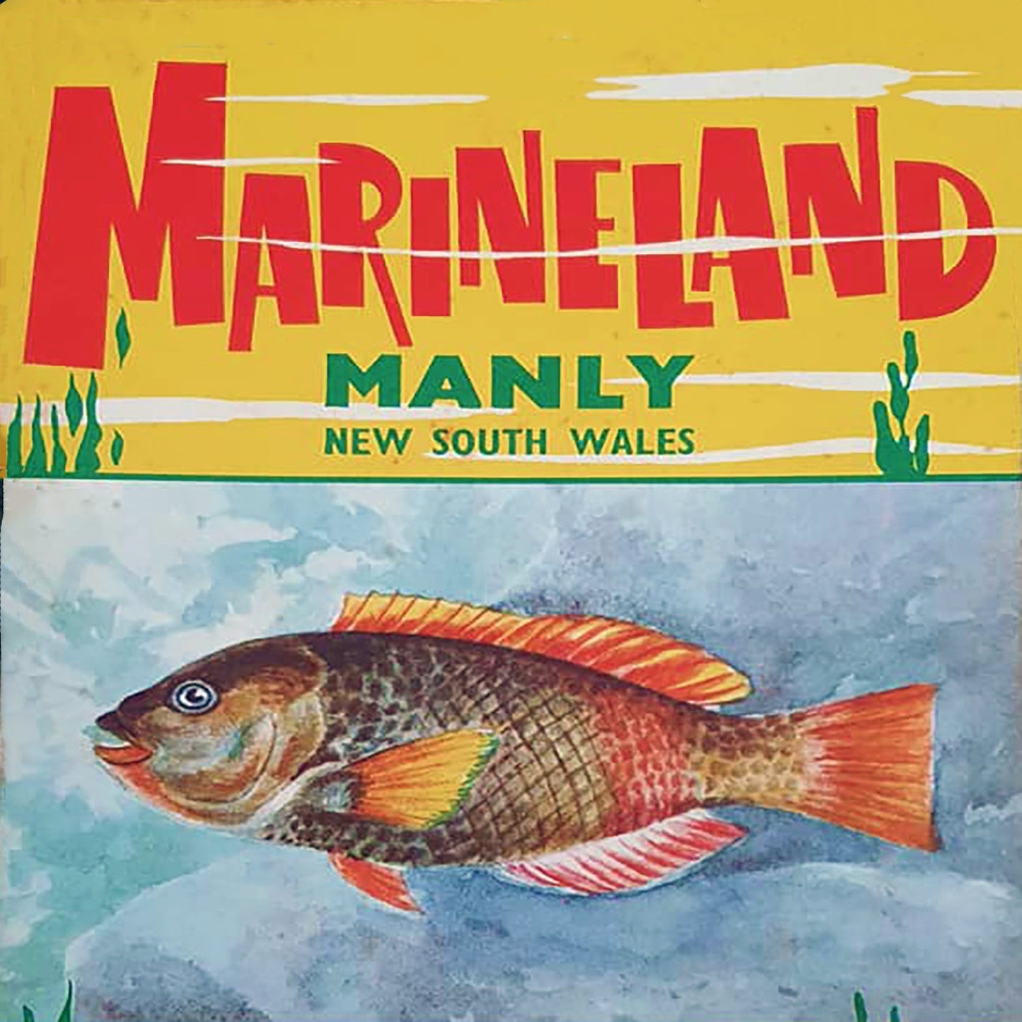 Cushion Cover Northern Beaches Art 