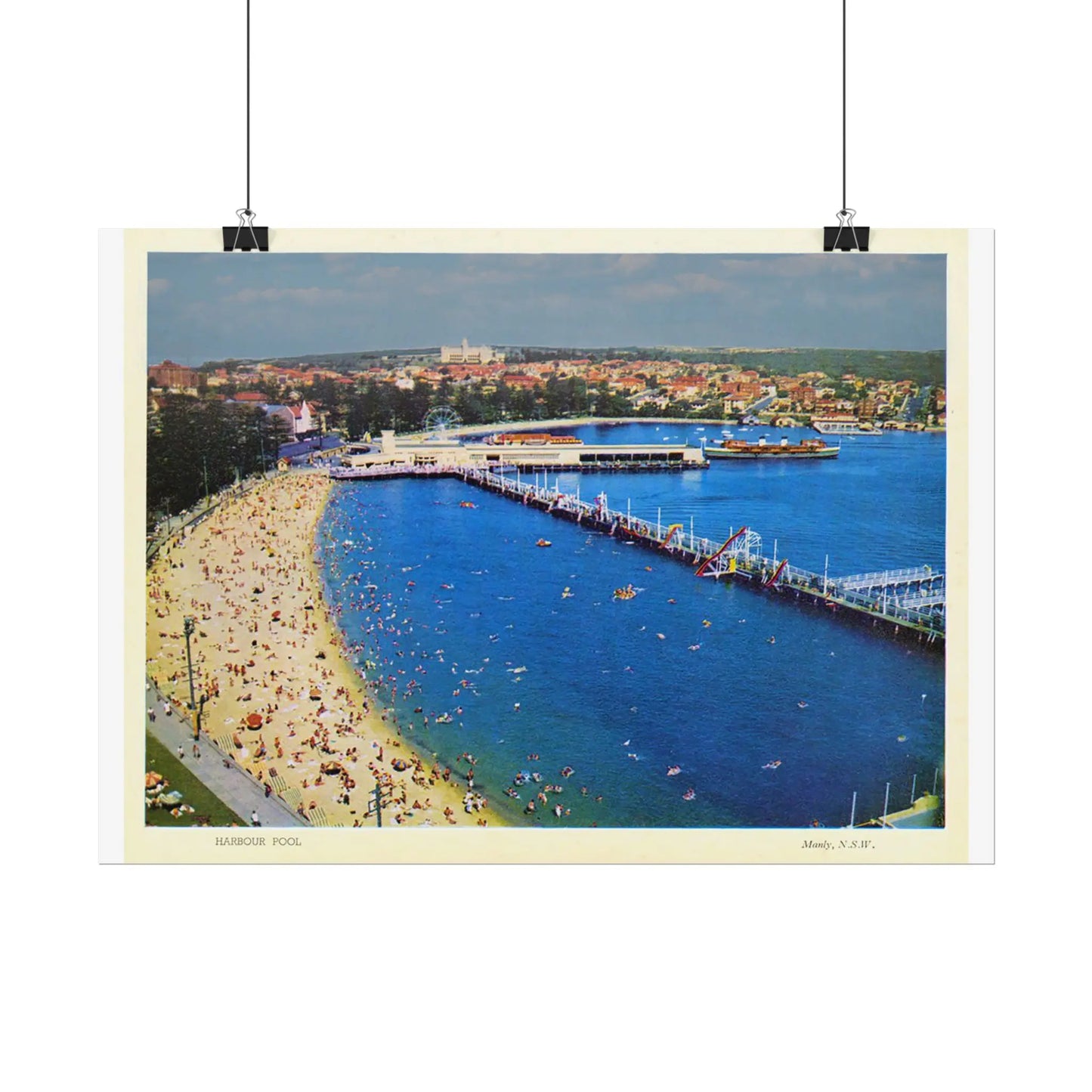 Manly Harbour 1955 Vintage Poster 