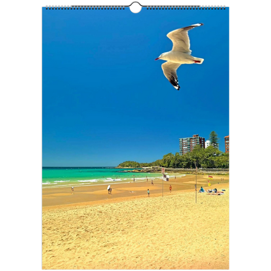 Manly Harbour Pool & Promenade – 1950s Vintage Postcard Poster 